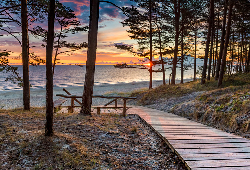 Colorful sunrise on park forest near beach of the Baltic Sea in Jurmala, Latvia