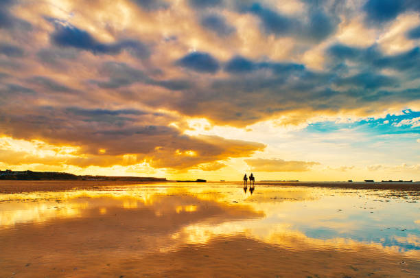 Unrecognizable horseman rides with their horses at low tides along a beautiful sunset on an empty beach in the normandy in france.
