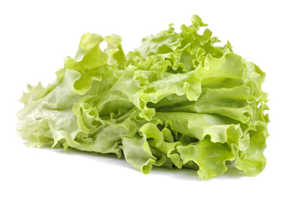 fresh green lettuce leaves on white isolated background. close-up. vegetables - iceberg lettuce imagens e fotografias de stock