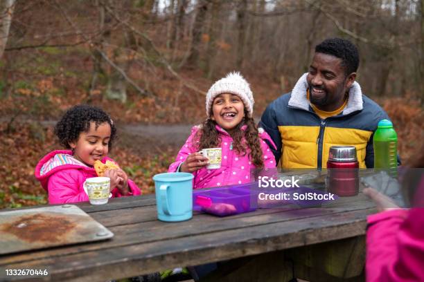 Enjoying Their Picnic Stock Photo - Download Image Now - Family, Picnic, Enjoyment