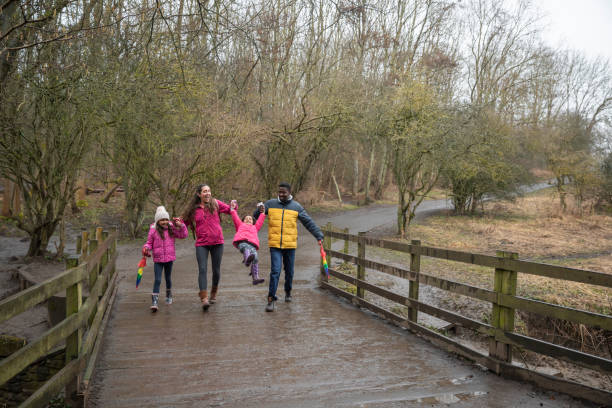 istock A Woodland Walk 1332670478