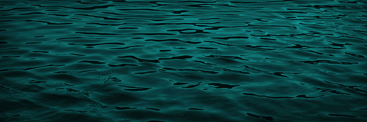 The surface of the sea, which has a shimmering blue-green color. The water looks calm and tranquil, with small waves creating ripples on the surface.