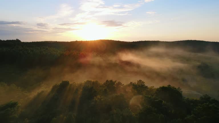 Fabulous sunset from a bird's eye view. Fog illuminated by the sun. Flight over the forest that is covered with fog at sunset