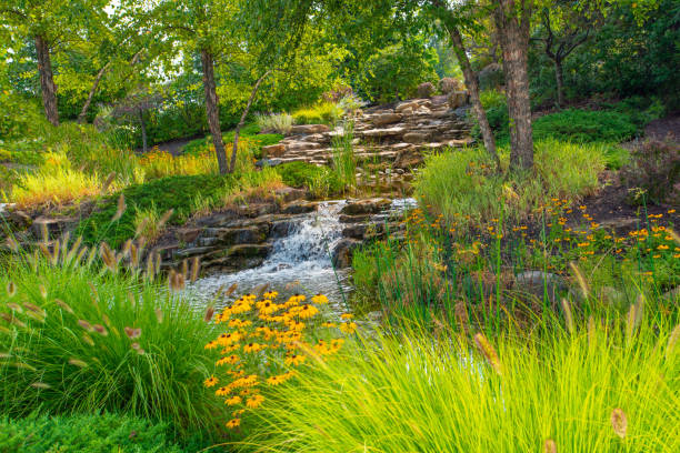 istock Beautiful small brook with waterfall and flowers-Hamilton County, Indiana 1332673933