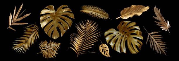 tropische blätter gold und schwarz, kann als hintergrund verwendet werden (monstera, palme, kokosnuss, farn) - gold leaf stock-fotos und bilder