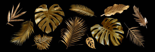 folhas tropicais de ouro e preto, podem ser usadas como fundo (monstera,palma, coco,samambaia) - gold leaf - fotografias e filmes do acervo