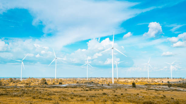 wind mill energy farm stock photo