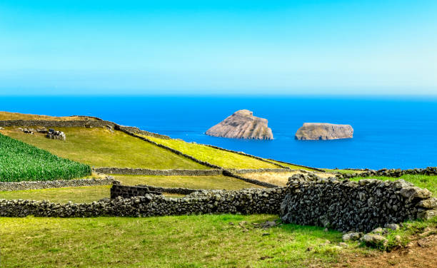 istock Terceira Island, Azores 1332680683