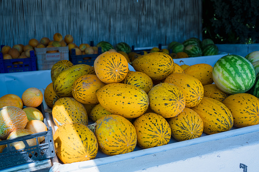 melon For Sale At Market Stall
