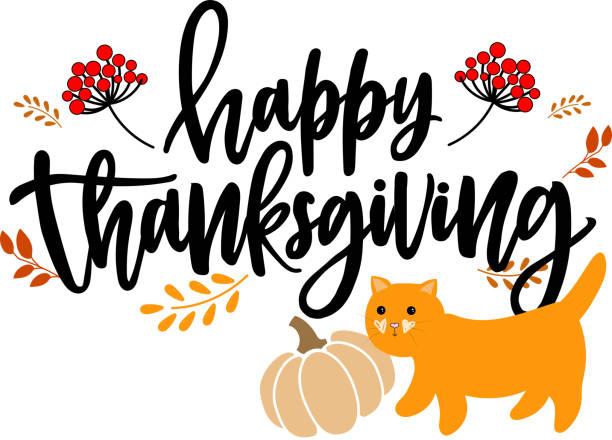 ilustrações, clipart, desenhos animados e ícones de cartão de ação de graças em estilo desenho animado com gato e abóbora. - white backgrounds thanksgiving pumpkin