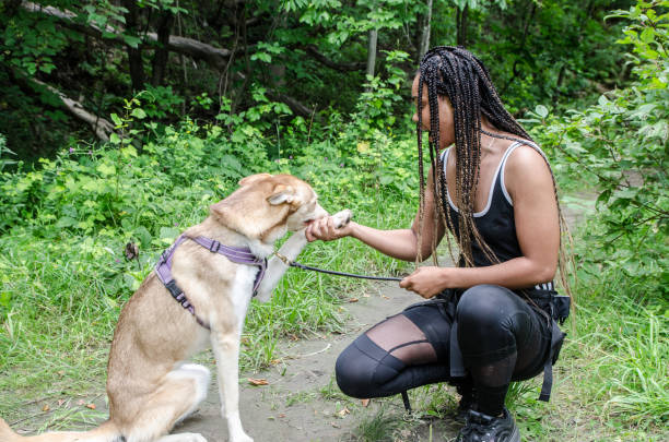 istock Young Haitian woman training her dog 1332681072