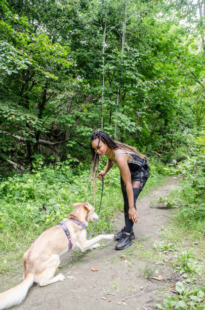 istock Young Haitian woman training her dog 1332682543