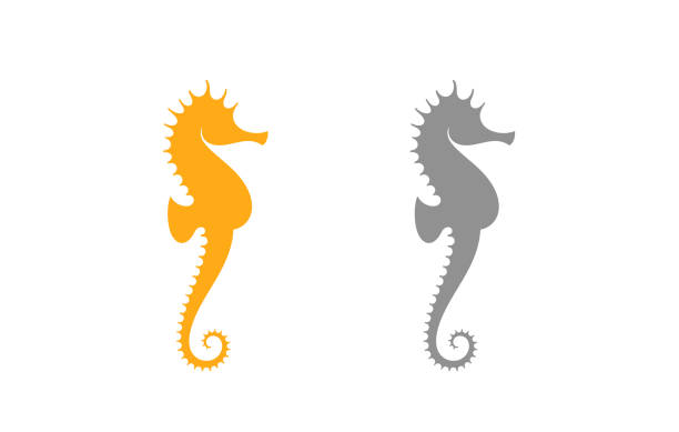 Sea horse silhouette Vector illustration (EPS) seahorse stock illustrations