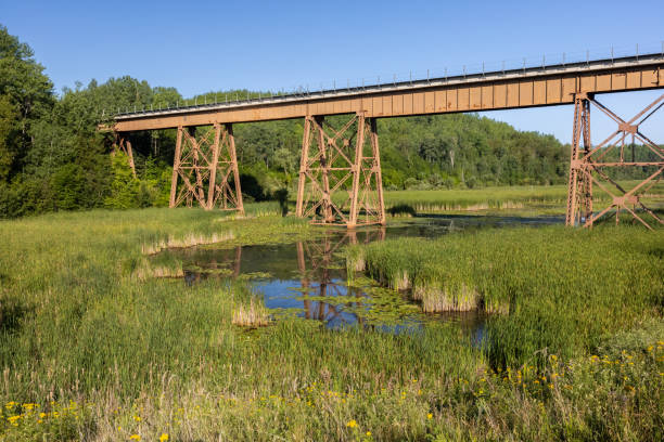istock Railroad High Bridge Over Swampy Creek 1332685271