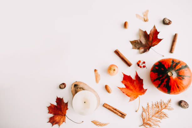 istock Beautiful autumn flatlay with orange and red leaves. Creative autumn pattern 1332686883