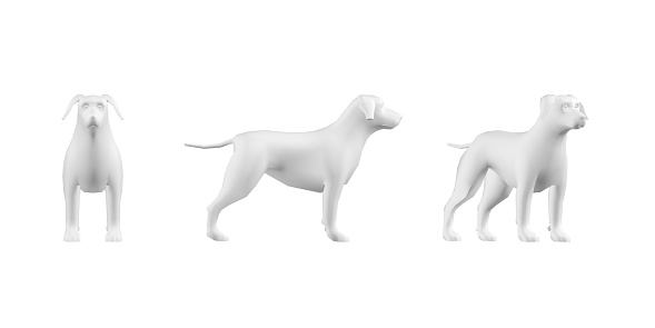 Dog mockup on White Background - 3D render