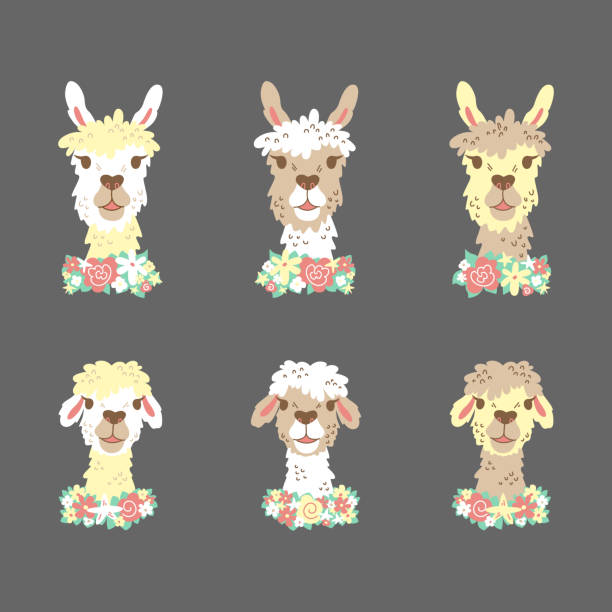 istock Llamas faces and flowers. Cartoon kid's illustration 1332689506