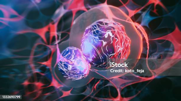 Stem Cells Stock Photo - Download Image Now - Stem Cell, Stem-Cell Therapy, Cancer Cell