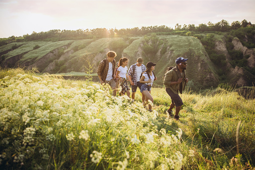 Leisure activity outdoors. Group of friends, young men and women walking, strolling together during picnic in summer forest, meadow. Lifestyle, friendship, having fun, weekend and resting concept.