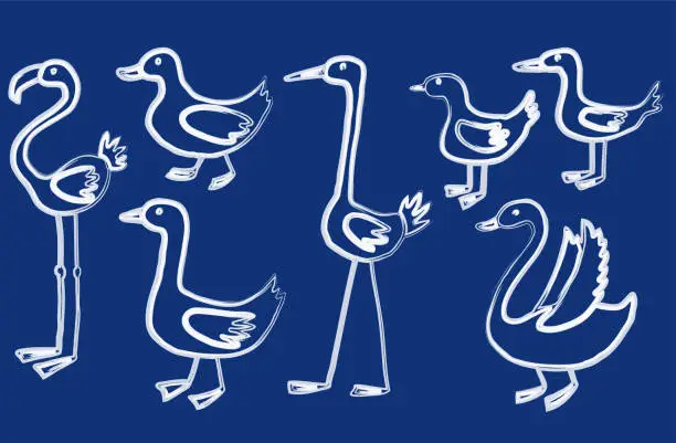 Vector illustration of Vector contour drawings of different cartoon water birds