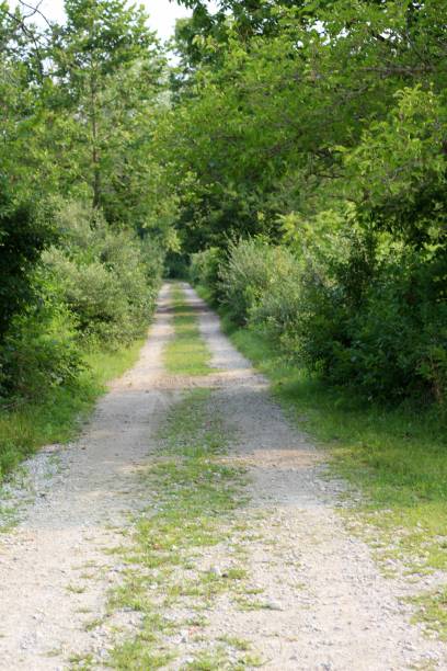 istock Gravel Country Road 1332696272