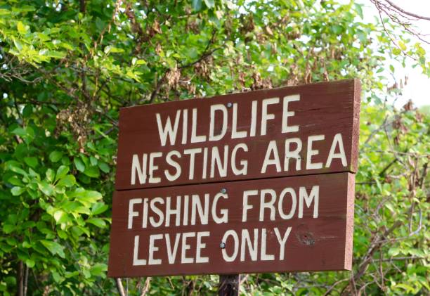 istock Brown Wood Wildlife Sign 1332696969