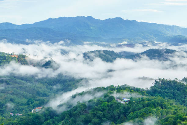 istock View of the rainforest in Sabah Borneo 1332697793