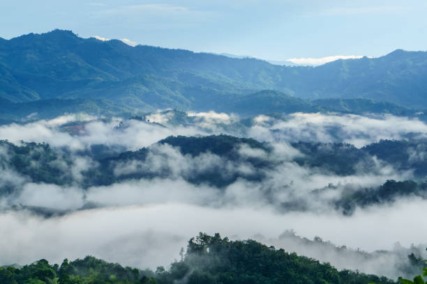 istock View of the rainforest in Sabah Borneo 1332697799