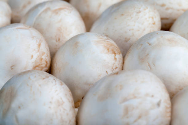 istock unwashed mushrooms champignon during cooking 1332697860