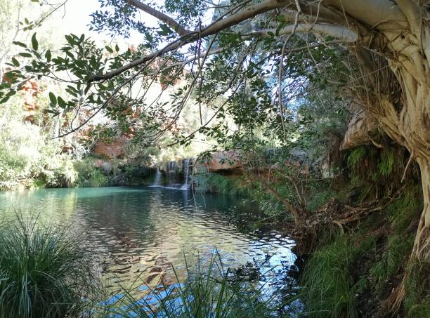 istock Fern Pool. Karijini National Park 1332698477