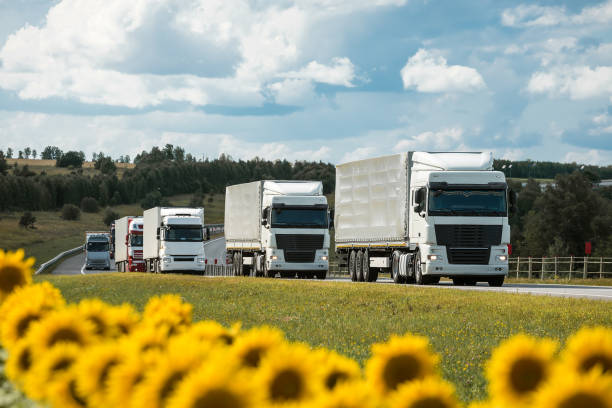 istock Freight trucks in a raw on the summer road through sunflower fields 1332699460