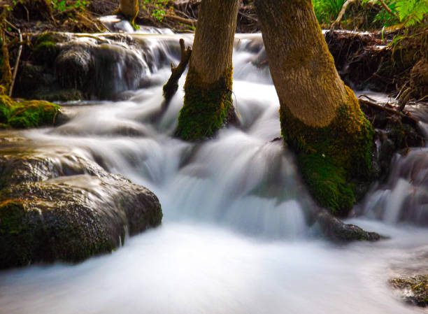Long exposure photo to recreate the silky texture of the water. Enjoying the small details along the Sierra de Cazorla, Segura and the Villas