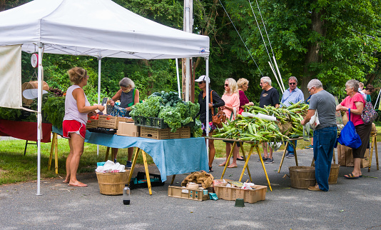 Sandwich, Massachusetts, USA- August 3, 2021- Customers queue up to make their purchase of fresh, locally grown produce. at one of the weekly Farmers Markets on Cape Cod