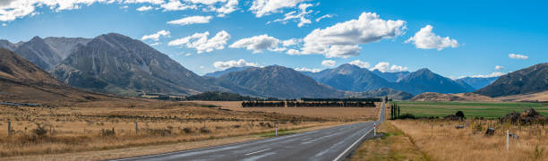 istock Road through fields and mountains in New Zealand 1332703883