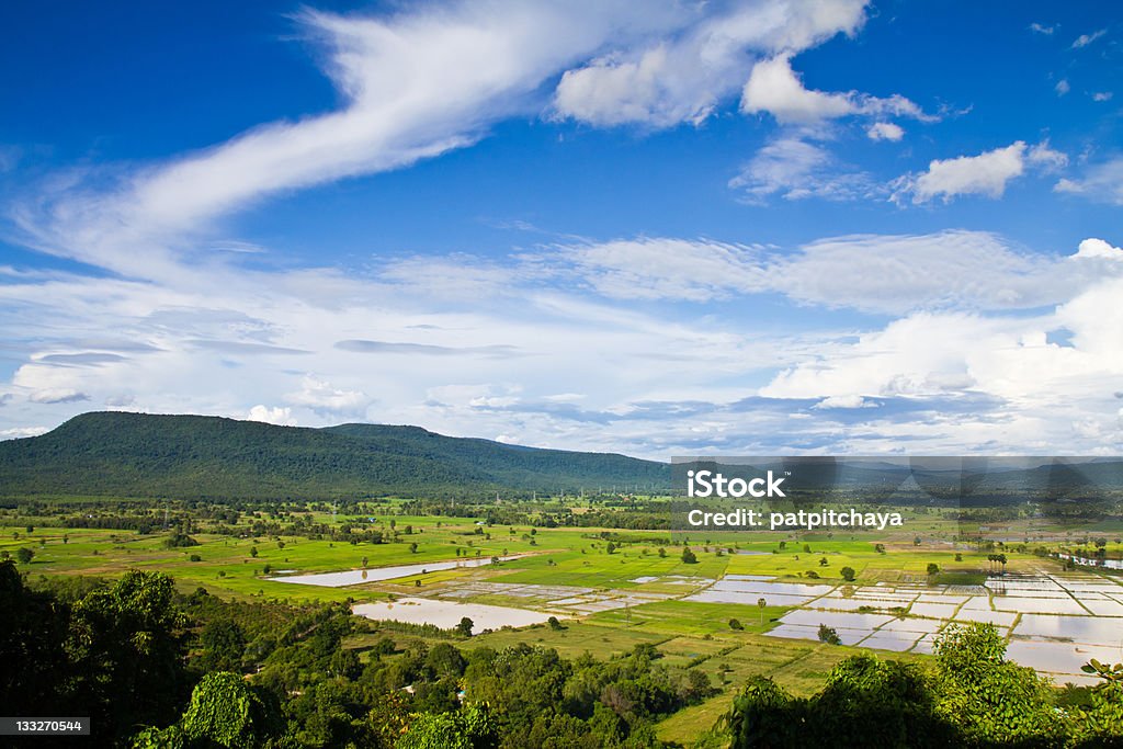 A agricultura país - Foto de stock de Agricultura royalty-free