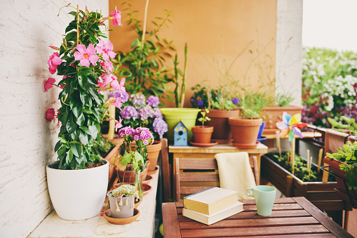 Cozy summer balcony with many potted plants, cup of tea and old vintage book