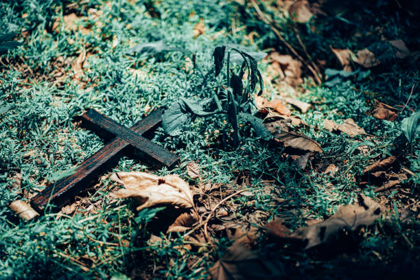 wooden cross and the setting sun in the forest
