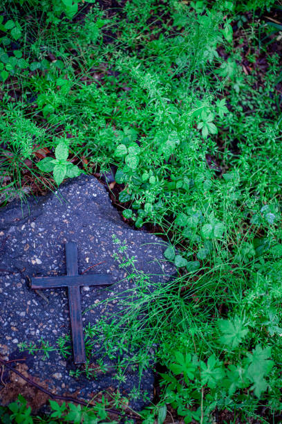 istock The Forest Morning and the Cross 1332710295