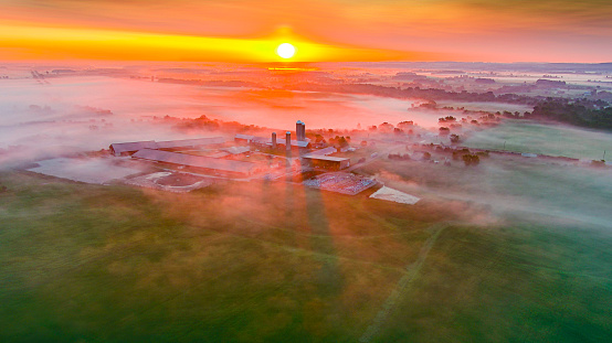 Like a castle in the misty distance, Silos rise above a thin layer of ground fog at sunrise, aerial view. There is also a passing train.  A beautiful and surreal landscape.