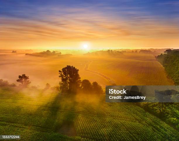 Sunrise Over Misty Fields Of Corn Stock Photo - Download Image Now - Sunrise - Dawn, Landscape - Scenery, Agricultural Field