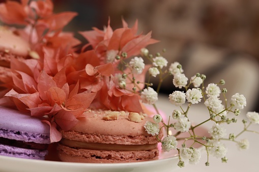 Macaroons on plate
