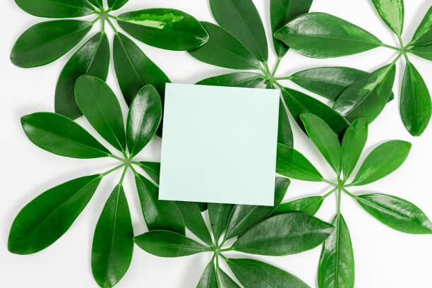 istock Saving Environment Ideas Plans, Creating Sustainable Products, Organic Materials, Gardening Designs Planning, Conserving Protecting Natural Resources, Spring Time Idea 1332712821