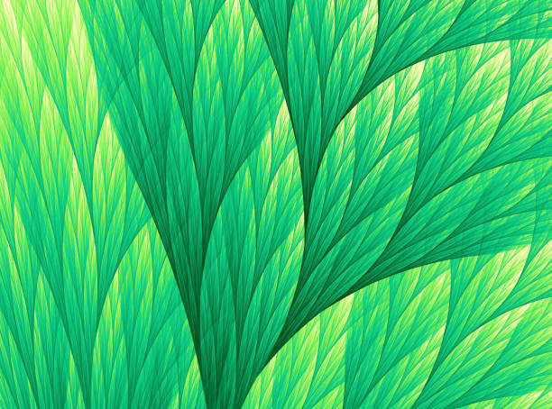 fern grass leaf abstract foliate floral summer tropical curve spider web grid pattern verde lime giallo ombre luxuriant texture organic sea sea lattuga vitality flowing motion growth concept background immagine generata digitalmente frattale fine op art - vein field foto e immagini stock