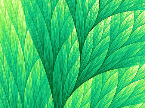 Fern Grass Leaf Abstract Foliate Floral Summer Tropical Sunlight Curve Spider Web Grid Pattern Mint Green Yellow Ombre Luxuriant Texture Organic Seaweed Sea Lettuce Vitality Flowing Motion Growth Concept Lush Foliage Background Digitally Generated Image Fractal Fine OP Art for presentation, flyer, card, poster, brochure, banner