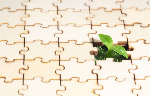 istock Small plant coming through a hole in a jigsaw puzzle 1332715644
