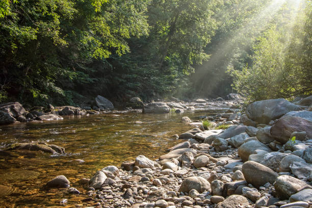 солнечные лучи на голубиной реке - north carolina mountain river autumn стоковые фото и изображения