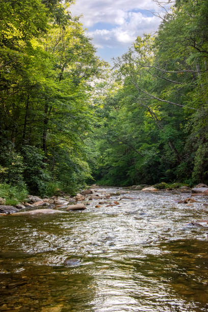 istock Pigeon River in western North Carolina 1332716628