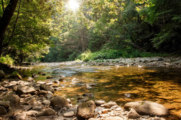 солнце, сияющее на голубиной реке - north carolina mountain river autumn стоковые фото и изображения