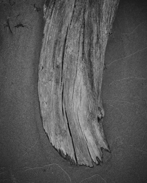istock texture of wood and sand 1332718843