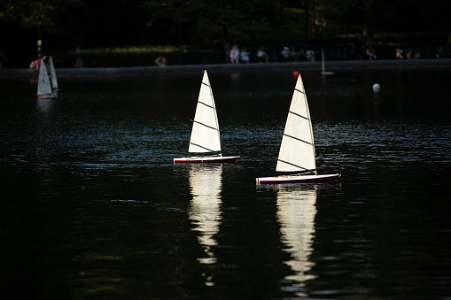 Remote control model sail boats on a pond in Central Park, New York City.